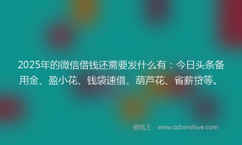 2025年的微信借钱还需要发什么有：今日头条备用金、盈小花、钱袋速借、葫芦花、省薪贷等。