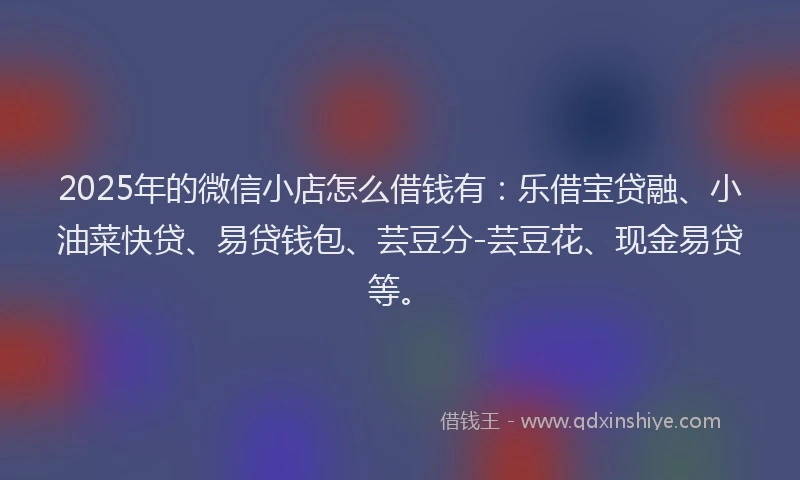2025年的微信小店怎么借钱有：乐借宝贷融、小油菜快贷、易贷钱包、芸豆分-芸豆花、现金易贷等。