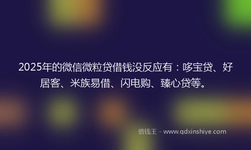 2025年的微信微粒贷借钱没反应有：哆宝贷、好居客、米族易借、闪电购、臻心贷等。