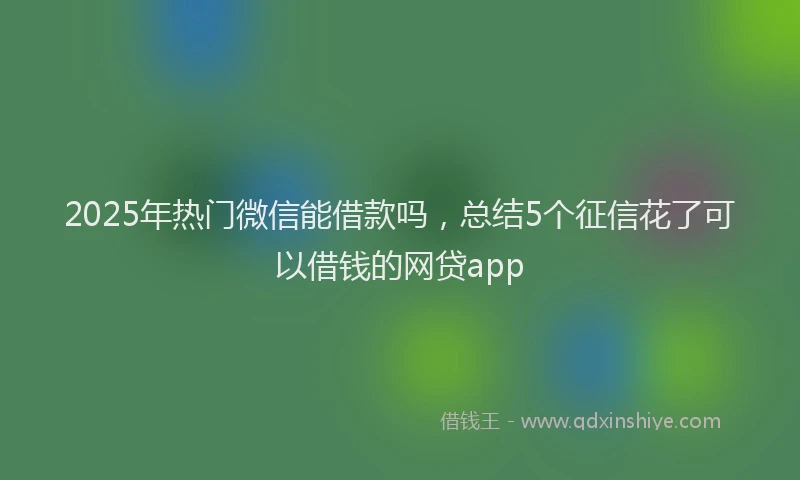 2025年热门微信能借款吗，总结5个征信花了可以借钱的网贷app