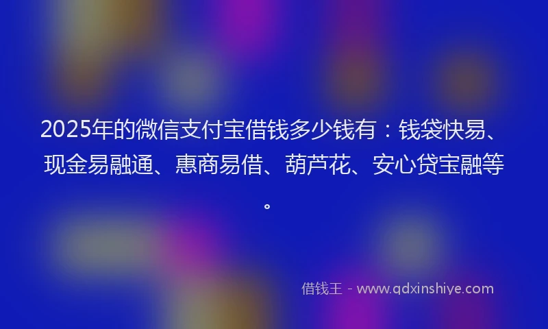 2025年的微信支付宝借钱多少钱有：钱袋快易、现金易融通、惠商易借、葫芦花、安心贷宝融等。