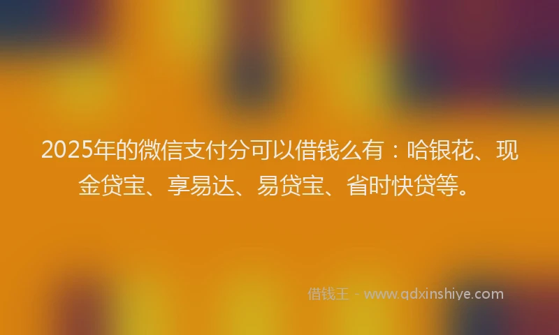 2025年的微信支付分可以借钱么有：哈银花、现金贷宝、享易达、易贷宝、省时快贷等。