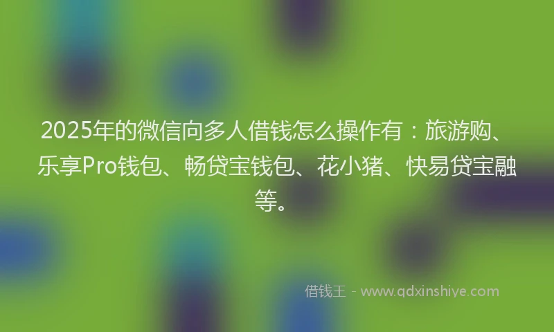 2025年的微信向多人借钱怎么操作有：旅游购、乐享Pro钱包、畅贷宝钱包、花小猪、快易贷宝融等。