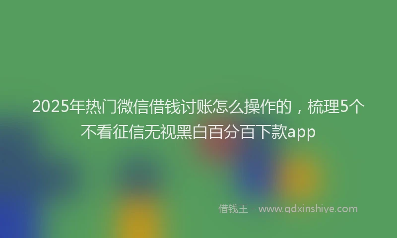 2025年热门微信借钱讨账怎么操作的，梳理5个不看征信无视黑白百分百下款app