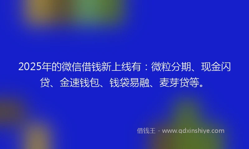 2025年的微信借钱新上线有：微粒分期、现金闪贷、金速钱包、钱袋易融、麦芽贷等。
