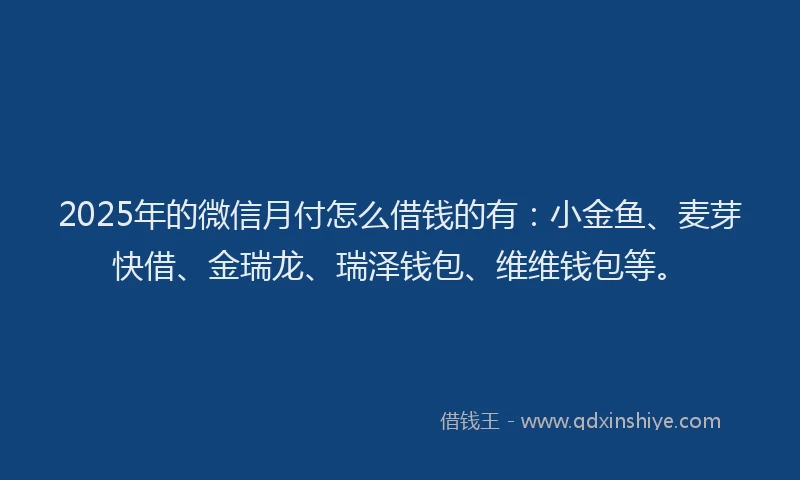2025年的微信月付怎么借钱的有：小金鱼、麦芽快借、金瑞龙、瑞泽钱包、维维钱包等。
