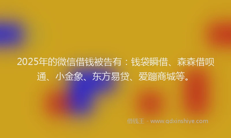 2025年的微信借钱被告有：钱袋瞬借、森森借呗通、小金象、东方易贷、爱蹦商城等。