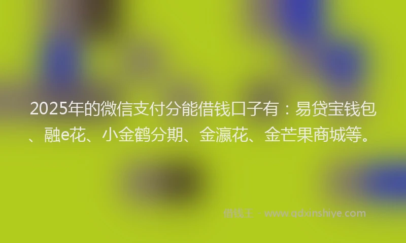 2025年的微信支付分能借钱口子有：易贷宝钱包、融e花、小金鹤分期、金瀛花、金芒果商城等。