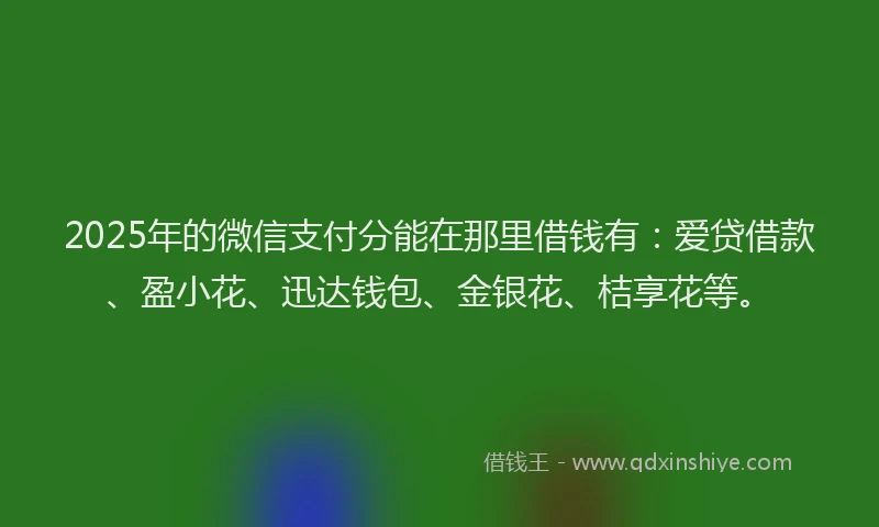 2025年的微信支付分能在那里借钱有：爱贷借款、盈小花、迅达钱包、金银花、桔享花等。