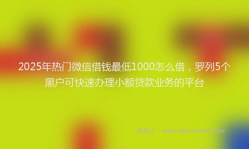 2025年热门微信借钱最低1000怎么借，罗列5个黑户可快速办理小额贷款业务的平台