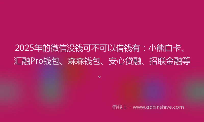 2025年的微信没钱可不可以借钱有：小熊白卡、汇融Pro钱包、森森钱包、安心贷融、招联金融等。