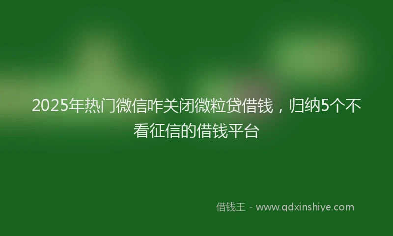 2025年热门微信咋关闭微粒贷借钱，归纳5个不看征信的借钱平台