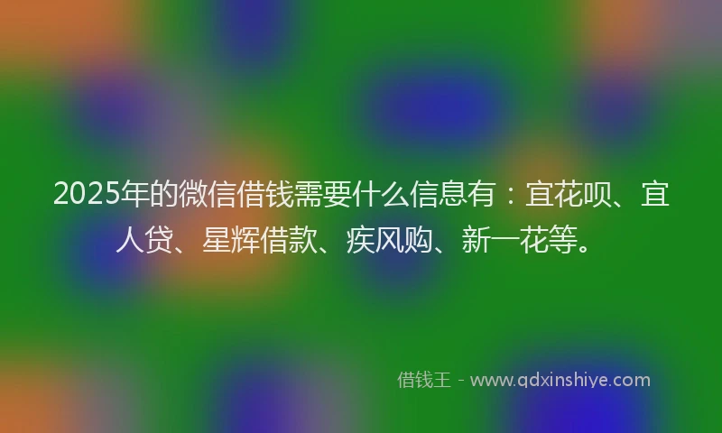 2025年的微信借钱需要什么信息有：宜花呗、宜人贷、星辉借款、疾风购、新一花等。