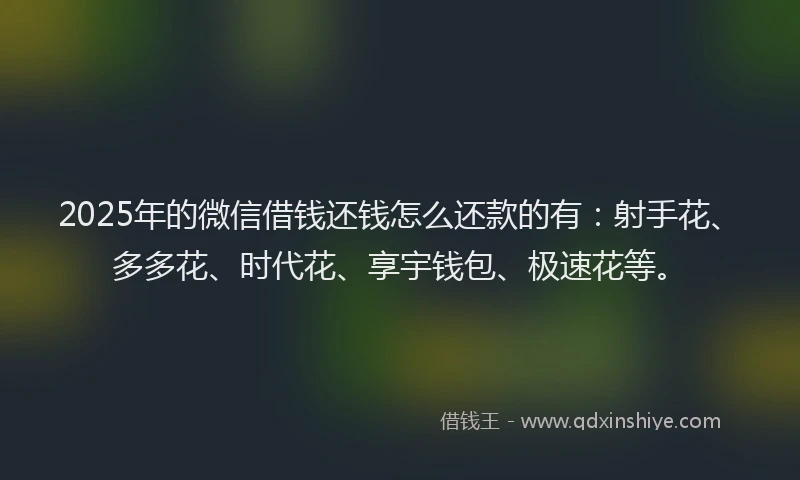 2025年的微信借钱还钱怎么还款的有：射手花、多多花、时代花、享宇钱包、极速花等。