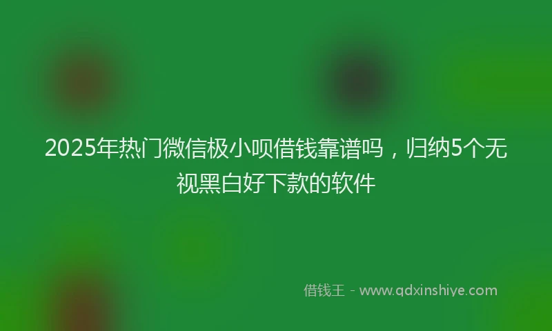 2025年热门微信极小呗借钱靠谱吗，归纳5个无视黑白好下款的软件