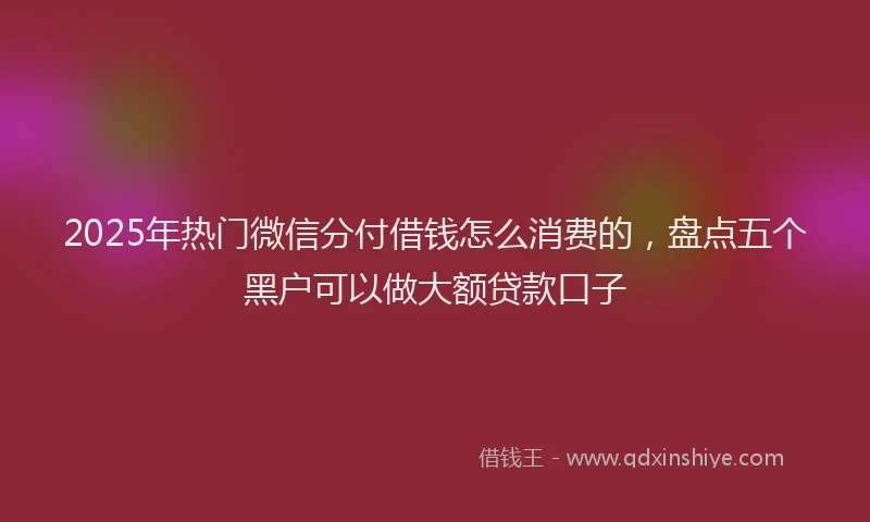 2025年热门微信分付借钱怎么消费的，盘点五个黑户可以做大额贷款口子