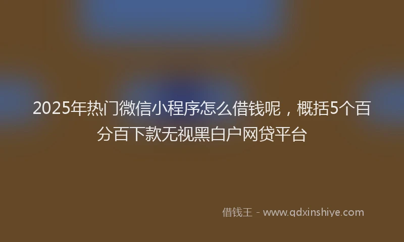 2025年热门微信小程序怎么借钱呢，概括5个百分百下款无视黑白户网贷平台