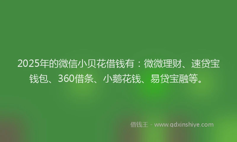 2025年的微信小贝花借钱有：微微理财、速贷宝钱包、360借条、小鹅花钱、易贷宝融等。