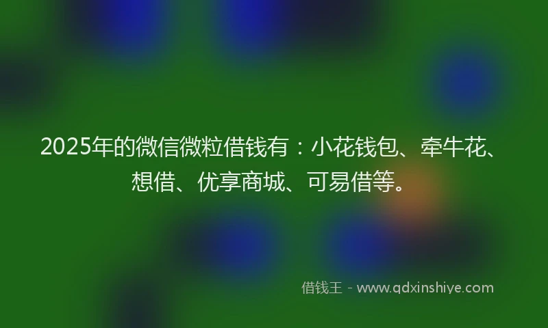 2025年的微信微粒借钱有：小花钱包、牵牛花、想借、优享商城、可易借等。