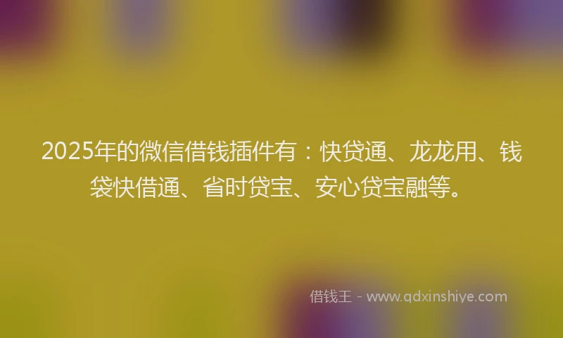 2025年的微信借钱插件有：快贷通、龙龙用、钱袋快借通、省时贷宝、安心贷宝融等。