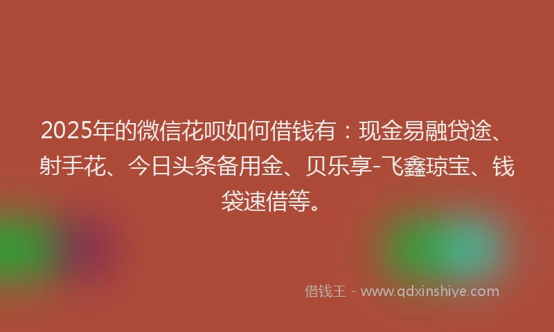 2025年的微信花呗如何借钱有：现金易融贷途、射手花、今日头条备用金、贝乐享-飞鑫琼宝、钱袋速借等。