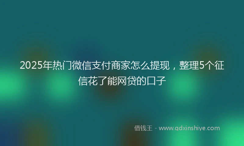 2025年热门微信支付商家怎么提现，整理5个征信花了能网贷的口子