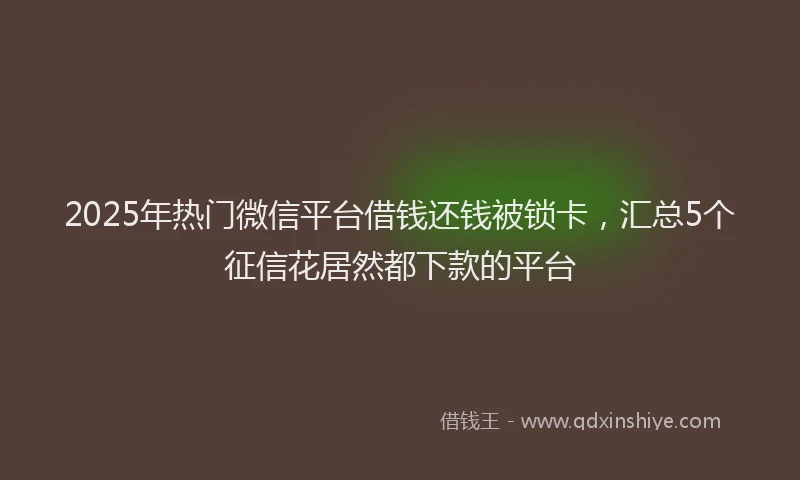 2025年热门微信平台借钱还钱被锁卡，汇总5个征信花居然都下款的平台