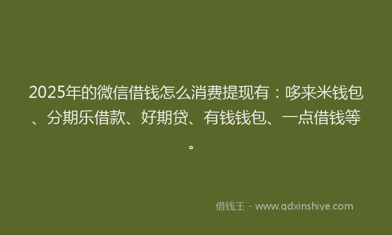 2025年的微信借钱怎么消费提现有：哆来米钱包、分期乐借款、好期贷、有钱钱包、一点借钱等。