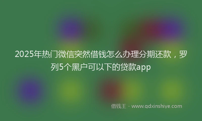 2025年热门微信突然借钱怎么办理分期还款，罗列5个黑户可以下的贷款app