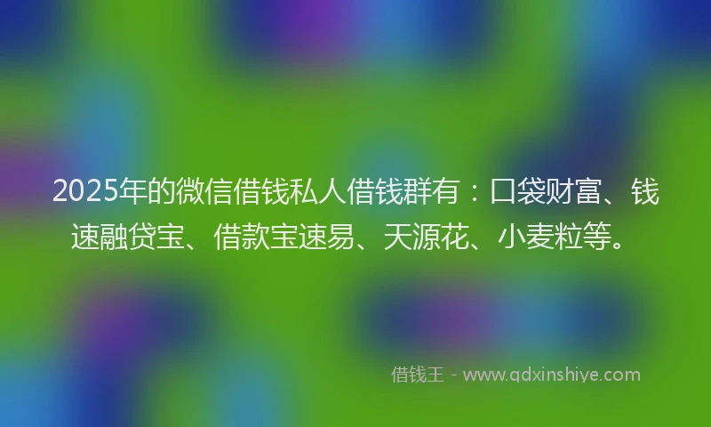 2025年的微信借钱私人借钱群有：口袋财富、钱速融贷宝、借款宝速易、天源花、小麦粒等。