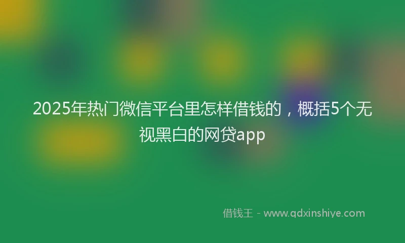 2025年热门微信平台里怎样借钱的，概括5个无视黑白的网贷app