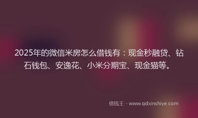 2025年的微信米房怎么借钱有：现金秒融贷、钻石钱包、安逸花、小米分期宝、现金猫等。