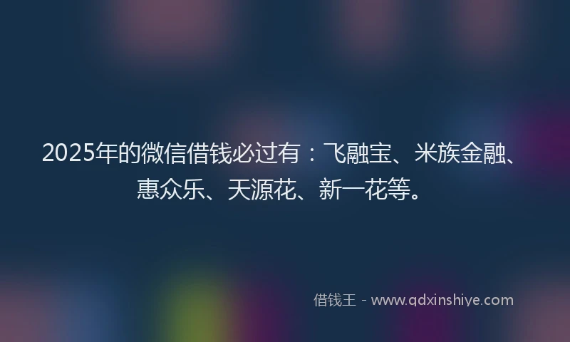 2025年的微信借钱必过有：飞融宝、米族金融、惠众乐、天源花、新一花等。