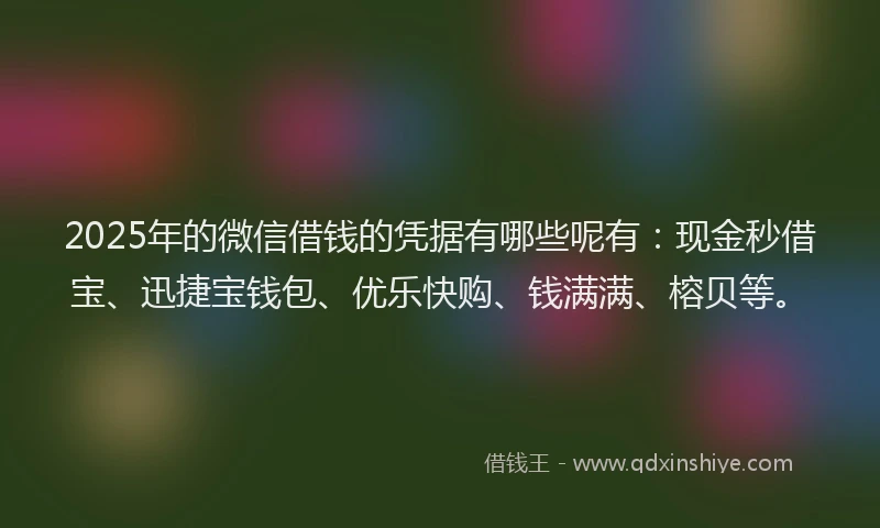 2025年的微信借钱的凭据有哪些呢有：现金秒借宝、迅捷宝钱包、优乐快购、钱满满、榕贝等。