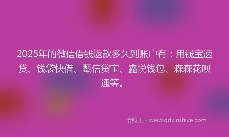 2025年的微信借钱返款多久到账户有：用钱宝速贷、钱袋快借、甄信贷宝、鑫悦钱包、森森花呗通等。