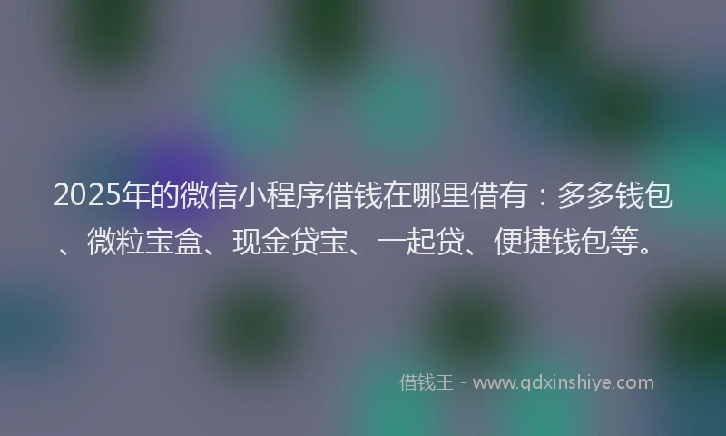 2025年的微信小程序借钱在哪里借有：多多钱包、微粒宝盒、现金贷宝、一起贷、便捷钱包等。