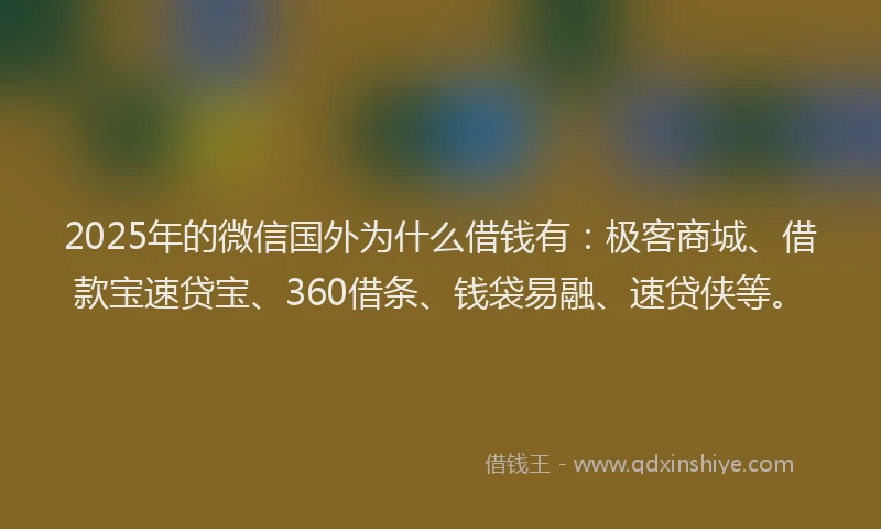 2025年的微信国外为什么借钱有：极客商城、借款宝速贷宝、360借条、钱袋易融、速贷侠等。