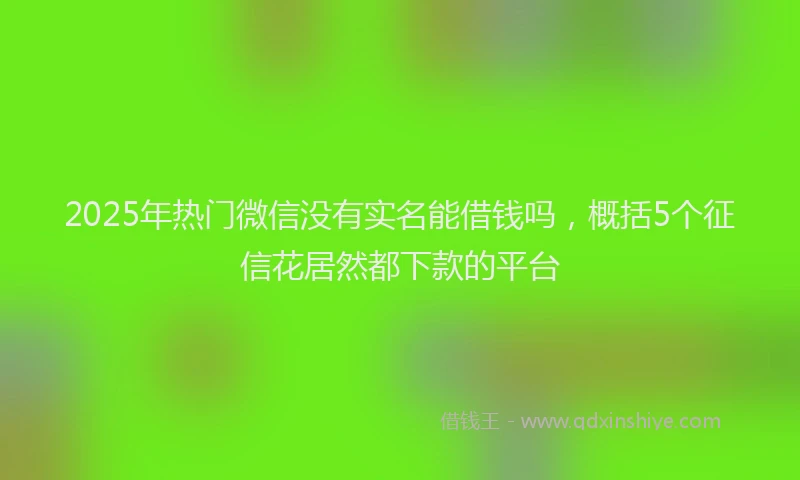2025年热门微信没有实名能借钱吗，概括5个征信花居然都下款的平台