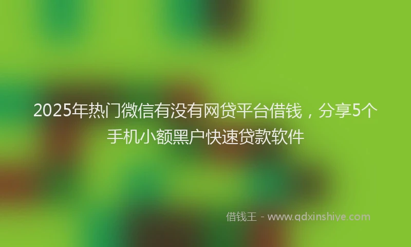 2025年热门微信有没有网贷平台借钱，分享5个手机小额黑户快速贷款软件