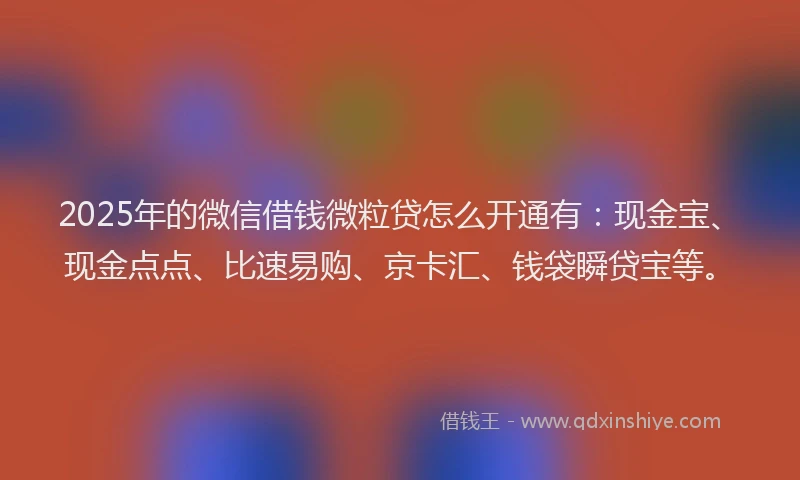 2025年的微信借钱微粒贷怎么开通有：现金宝、现金点点、比速易购、京卡汇、钱袋瞬贷宝等。
