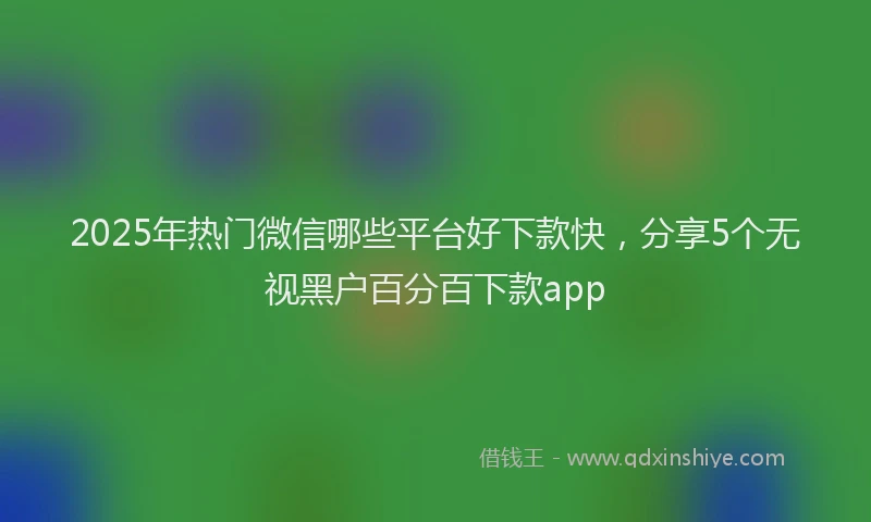 2025年热门微信哪些平台好下款快，分享5个无视黑户百分百下款app