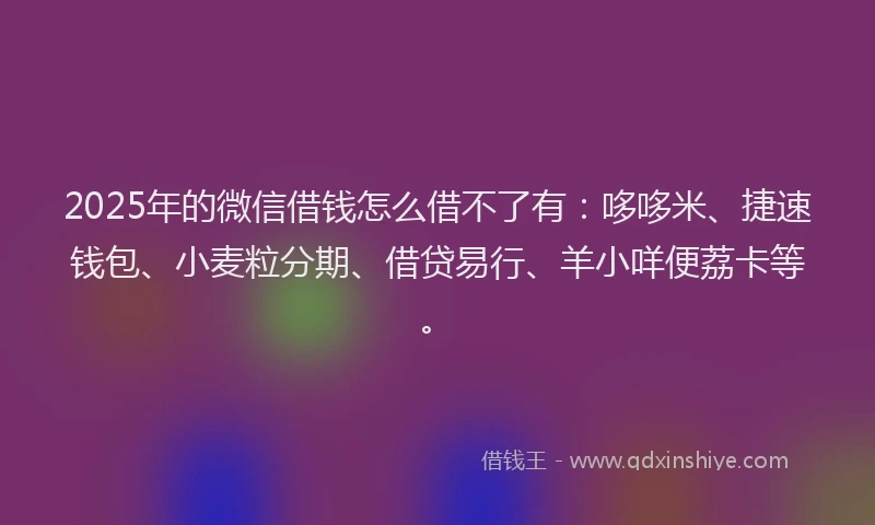 2025年的微信借钱怎么借不了有：哆哆米、捷速钱包、小麦粒分期、借贷易行、羊小咩便荔卡等。