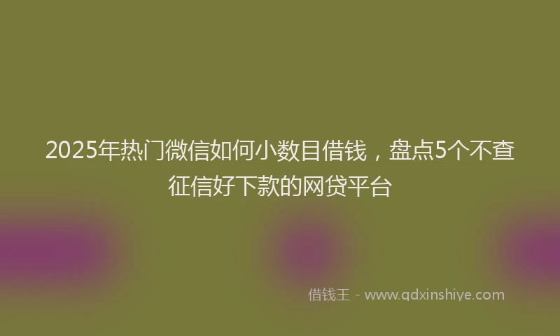 2025年热门微信如何小数目借钱，盘点5个不查征信好下款的网贷平台