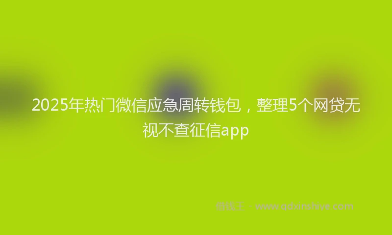 2025年热门微信应急周转钱包，整理5个网贷无视不查征信app