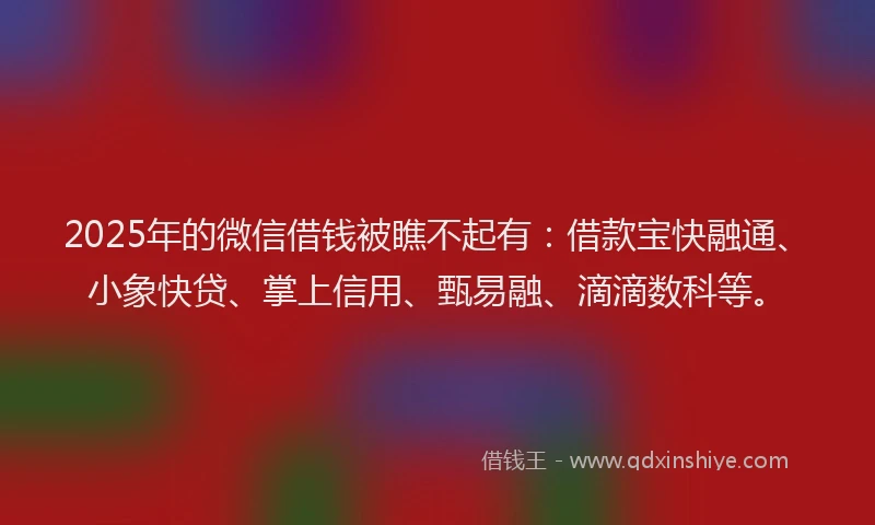 2025年的微信借钱被瞧不起有：借款宝快融通、小象快贷、掌上信用、甄易融、滴滴数科等。