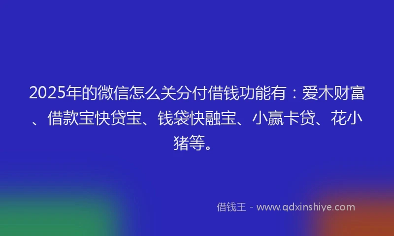 2025年的微信怎么关分付借钱功能有：爱木财富、借款宝快贷宝、钱袋快融宝、小赢卡贷、花小猪等。