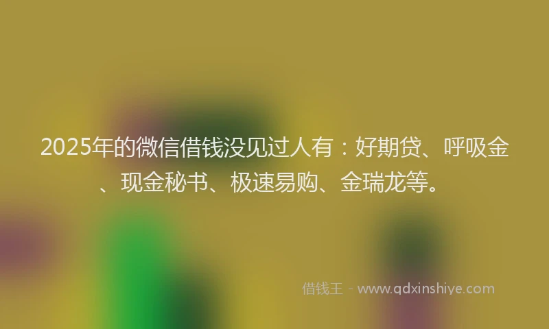 2025年的微信借钱没见过人有：好期贷、呼吸金、现金秘书、极速易购、金瑞龙等。