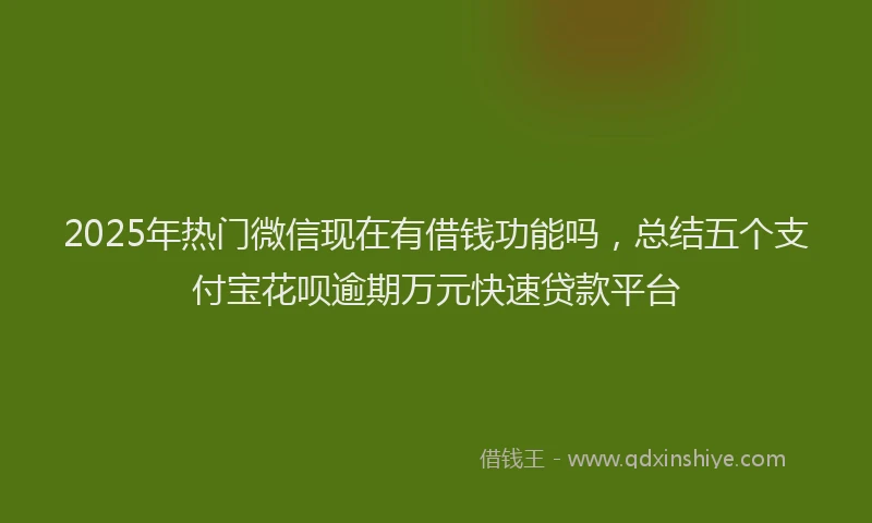 2025年热门微信现在有借钱功能吗，总结五个支付宝花呗逾期万元快速贷款平台