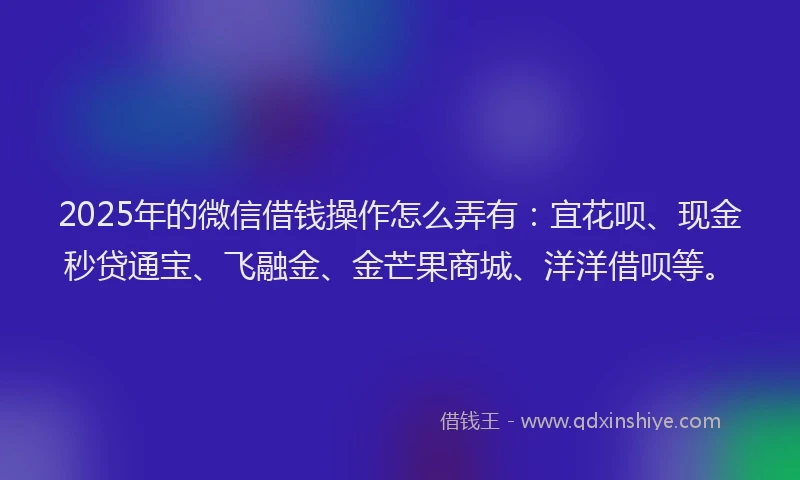 2025年的微信借钱操作怎么弄有：宜花呗、现金秒贷通宝、飞融金、金芒果商城、洋洋借呗等。