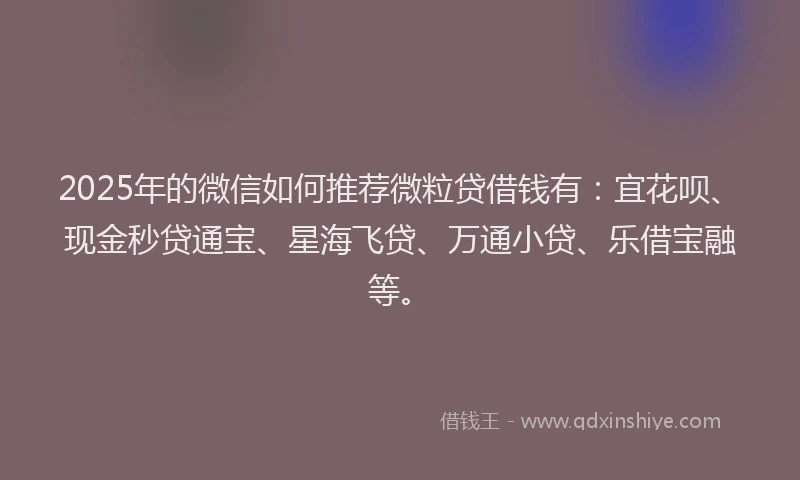 2025年的微信如何推荐微粒贷借钱有：宜花呗、现金秒贷通宝、星海飞贷、万通小贷、乐借宝融等。